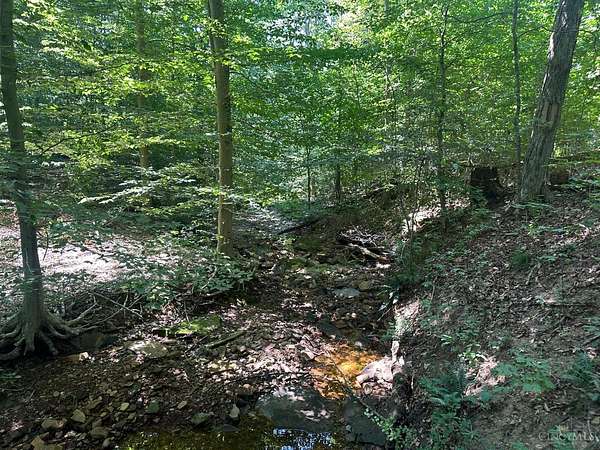 60 Acres of Recreational Land & Farm for Sale in Pee Pee Township, Ohio