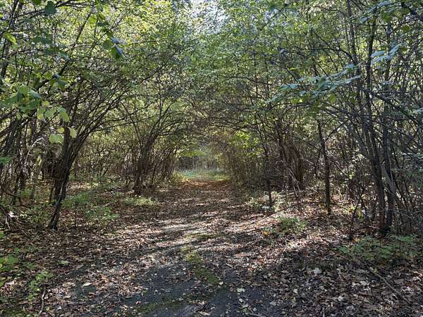 40 Acres of Recreational Land for Sale in Jackson, Michigan