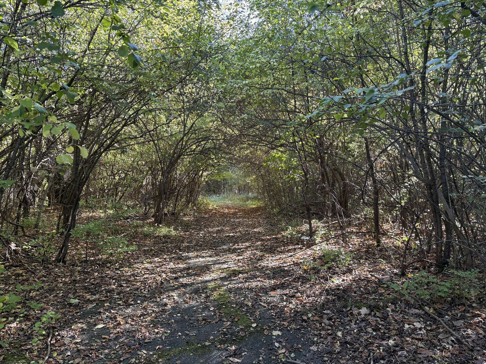 29.2 Acres of Recreational Land for Sale in Jackson, Michigan