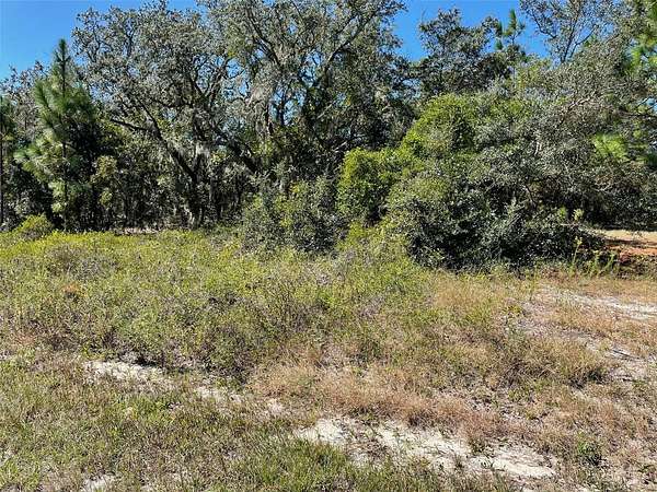 0.99 Acres of Residential Land for Sale in Dunnellon, Florida
