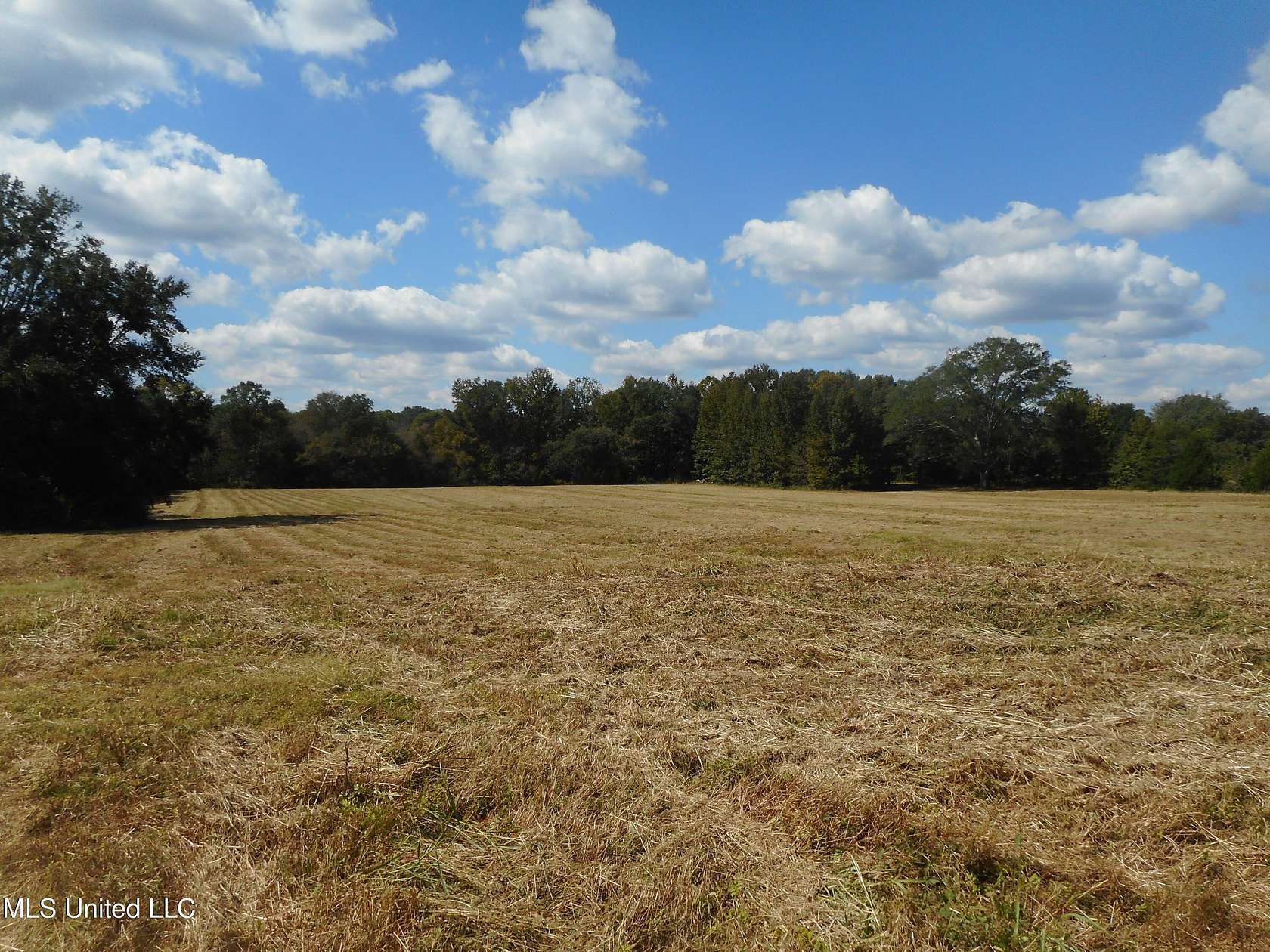 8 Acres of Land for Sale in Yazoo City, Mississippi