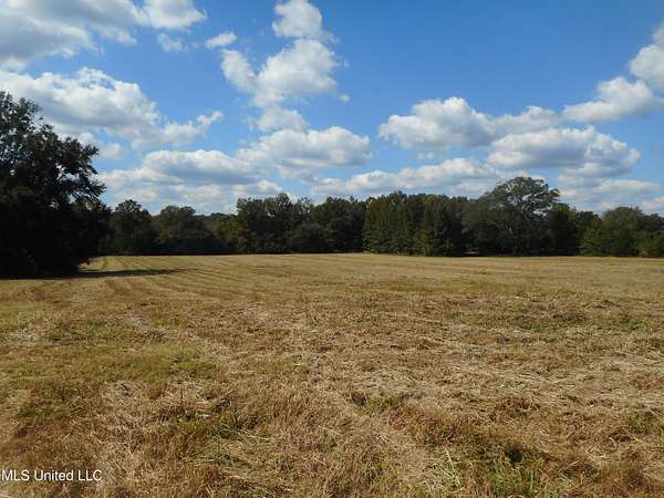 8 Acres of Land for Sale in Yazoo City, Mississippi
