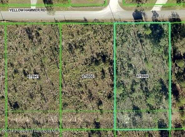 0.99 Acres of Residential Land for Sale in Weeki Wachee, Florida
