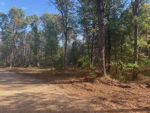 2.27 Acres of Land for Sale in Baldwin, Michigan