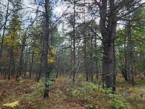 2.26 Acres of Land for Sale in Baldwin, Michigan