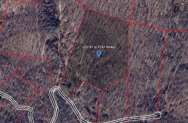 11.5 Acres of Land for Sale in Bragg, West Virginia