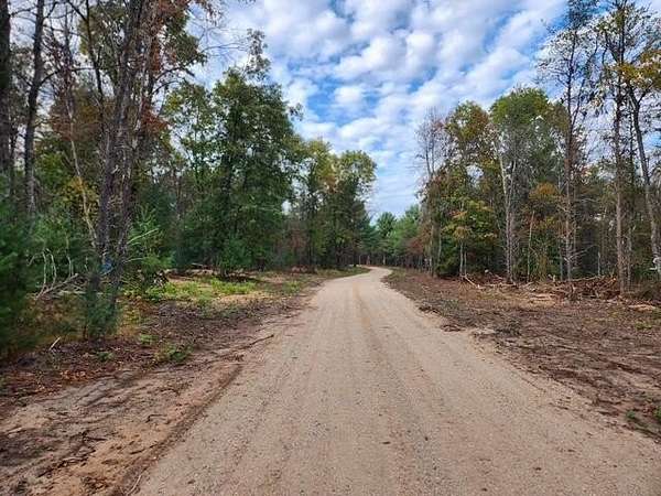 4.79 Acres of Land for Sale in Baldwin, Michigan