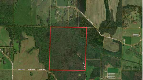 160 Acres of Recreational Land for Sale in Moulton, Alabama