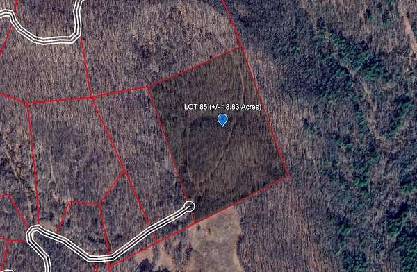 18.8 Acres of Land for Sale in Bragg, West Virginia