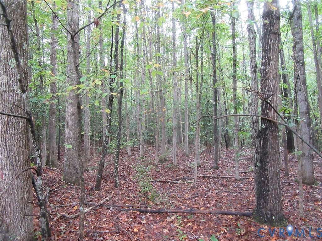 6.25 Acres of Recreational Land & Farm for Sale in Church Road, Virginia