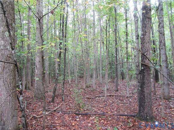 6.25 Acres of Recreational Land & Farm for Sale in Church Road, Virginia