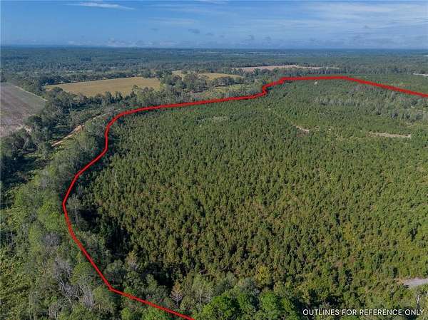 84.8 Acres of Recreational Land for Sale in Jacksonville, Georgia