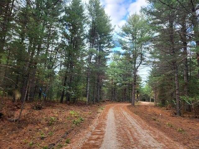 4.79 Acres of Land for Sale in Baldwin, Michigan