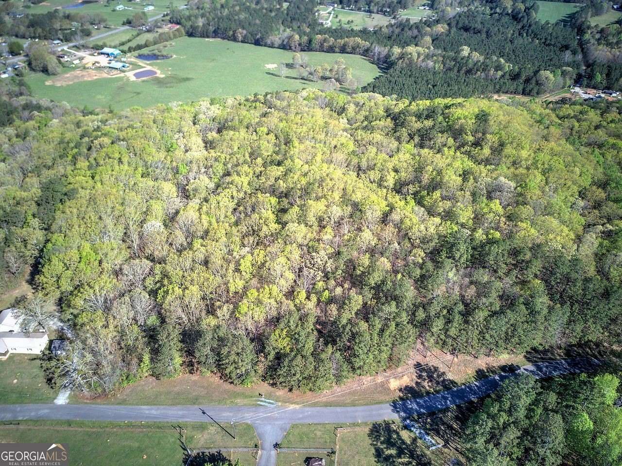 16.5 Acres of Recreational Land for Sale in Buchanan, Georgia