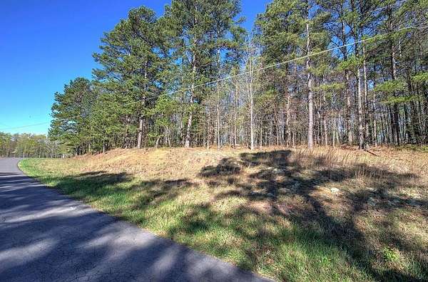 16.5 Acres of Recreational Land for Sale in Buchanan, Georgia