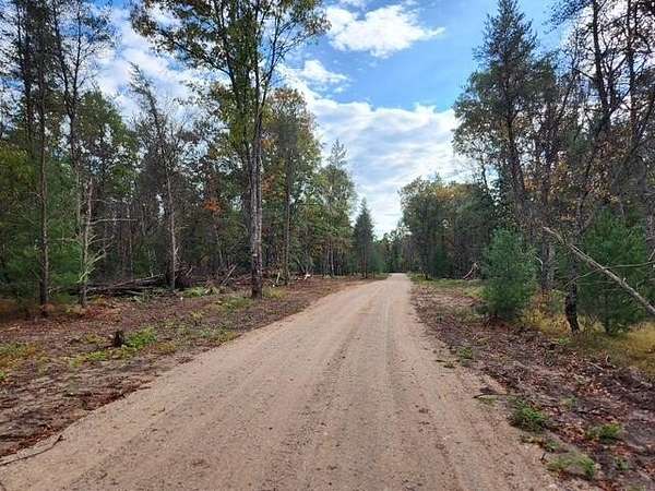 5 Acres of Land for Sale in Baldwin, Michigan