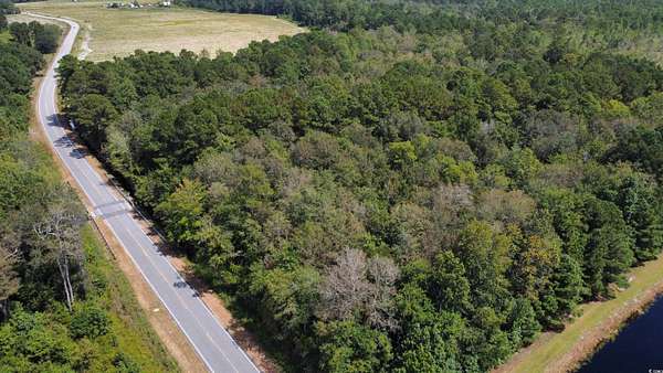 95 Acres of Land for Sale in Nichols, South Carolina