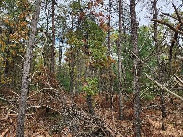 2.33 Acres of Land for Sale in Baldwin, Michigan