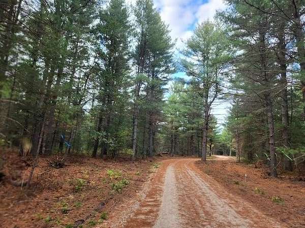 2.29 Acres of Land for Sale in Baldwin, Michigan