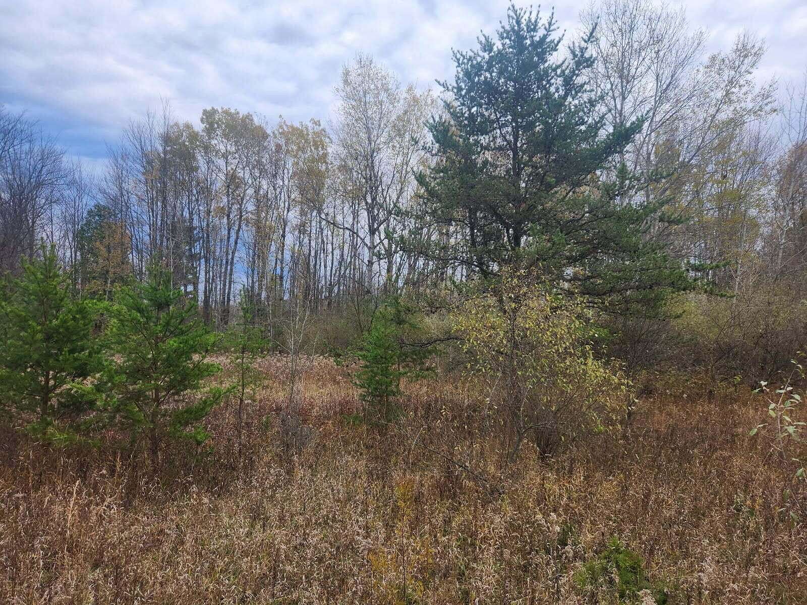 0.87 Acres of Land for Sale in Shelby, Michigan