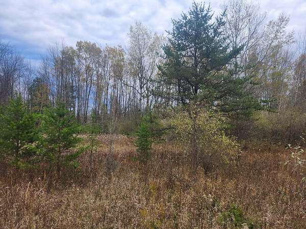 0.87 Acres of Land for Sale in Shelby, Michigan