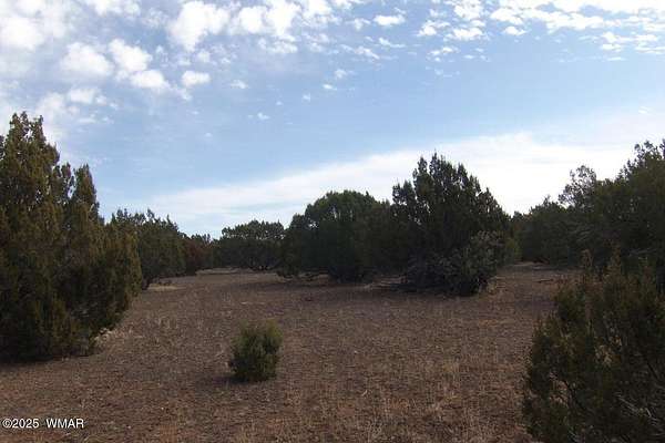 22.7 Acres of Recreational Land for Sale in Show Low, Arizona
