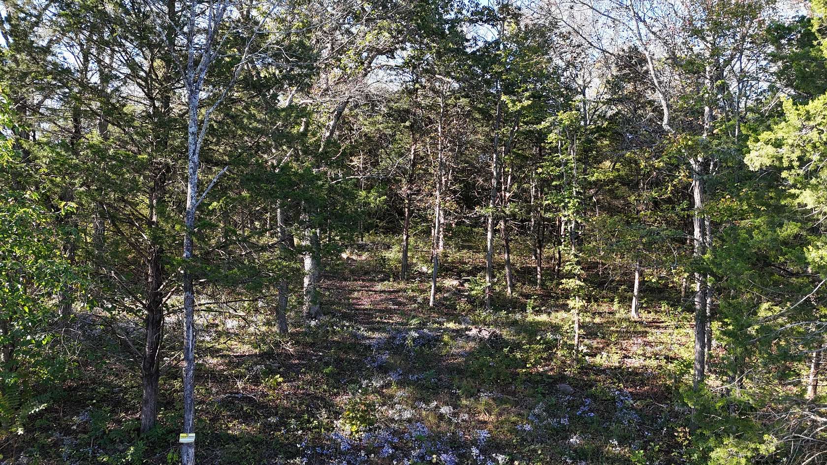 16.2 Acres of Land for Sale in Murfreesboro, Tennessee