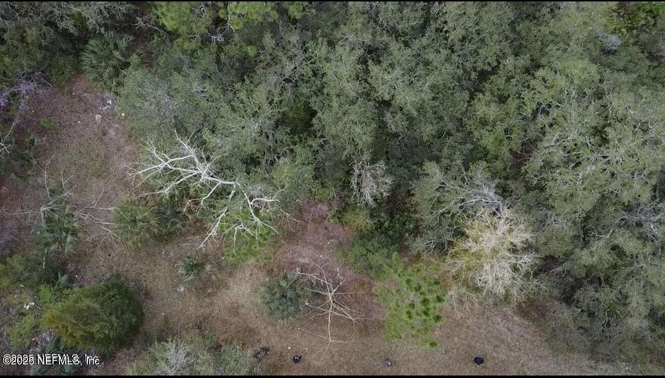 4 Acres of Land for Sale in East Palatka, Florida