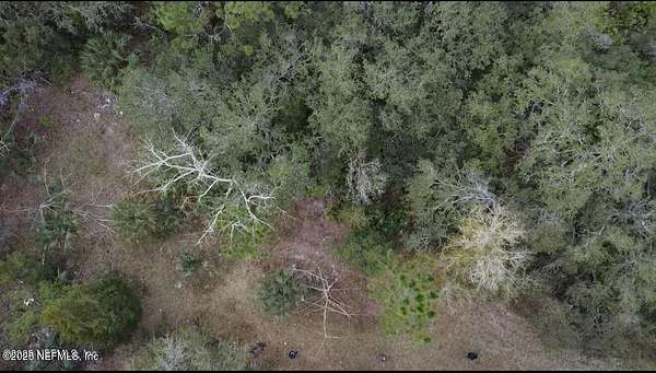 1.27 Acres of Land for Sale in Interlachen, Florida