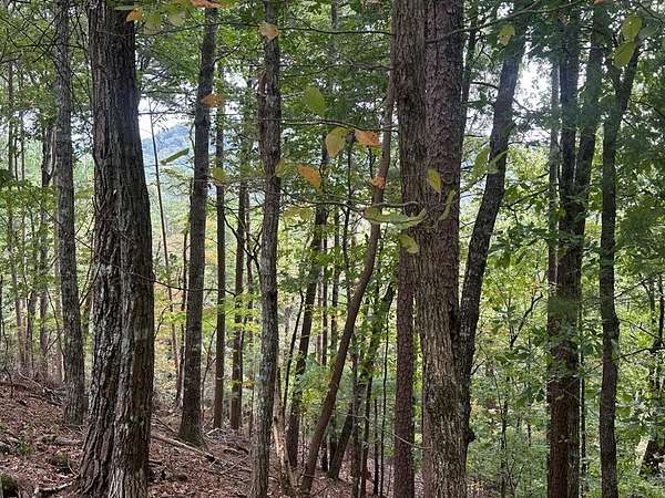 0.37 Acres of Land for Sale in Ellijay, Georgia