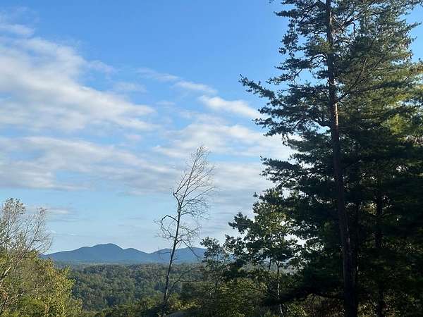 1.18 Acres of Land for Sale in Mineral Bluff, Georgia