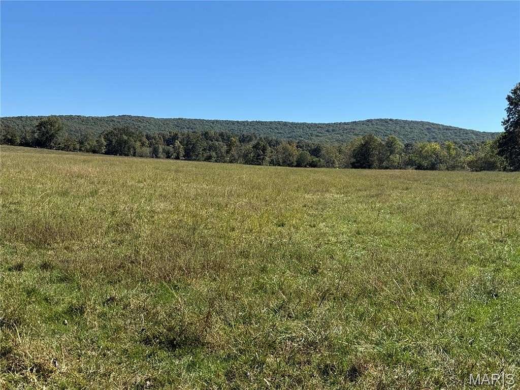 64 Acres of Land for Sale in Des Arc, Missouri