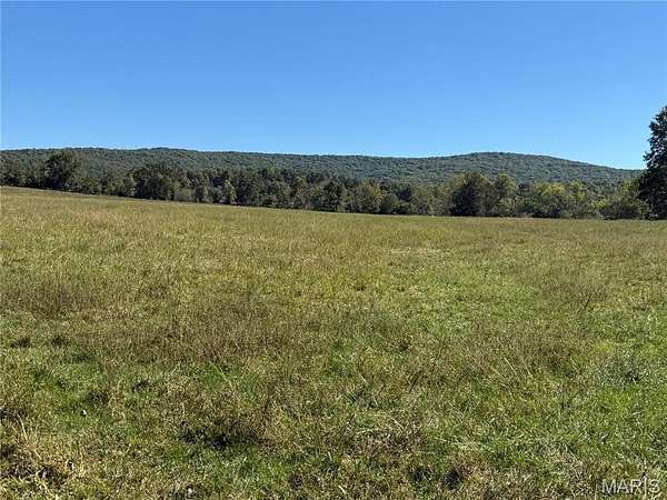 64 Acres of Land for Sale in Des Arc, Missouri