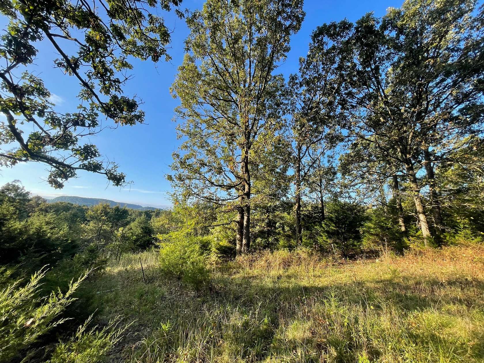 10 Acres of Recreational Land for Sale in Alpena, Arkansas