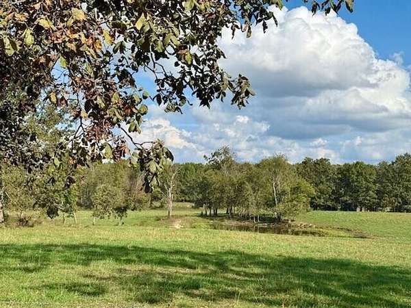 67 Acres of Recreational Land & Farm for Sale in Mountain View, Missouri