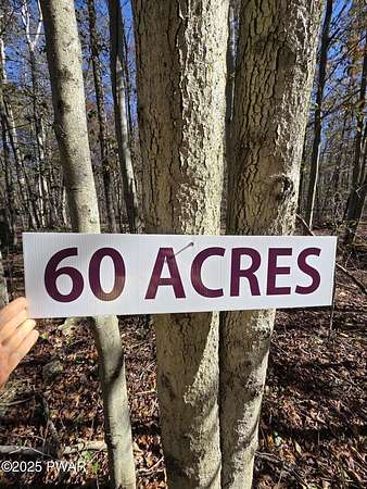60 Acres of Recreational Land for Sale in Gouldsboro, Pennsylvania