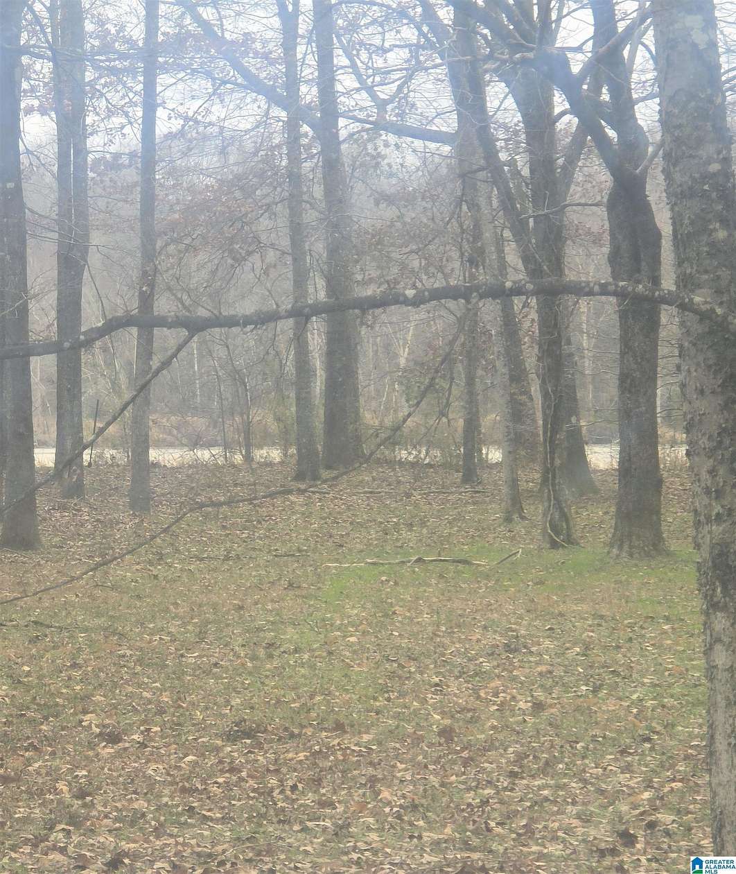 1.12 Acres of Residential Land for Sale in Akron, Alabama