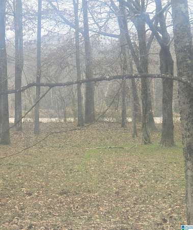 1.12 Acres of Residential Land for Sale in Akron, Alabama