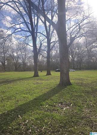 0.16 Acres of Residential Land for Sale in Birmingham, Alabama