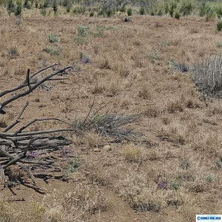 0.78 Acres of Land for Sale in San Lorenzo, New Mexico