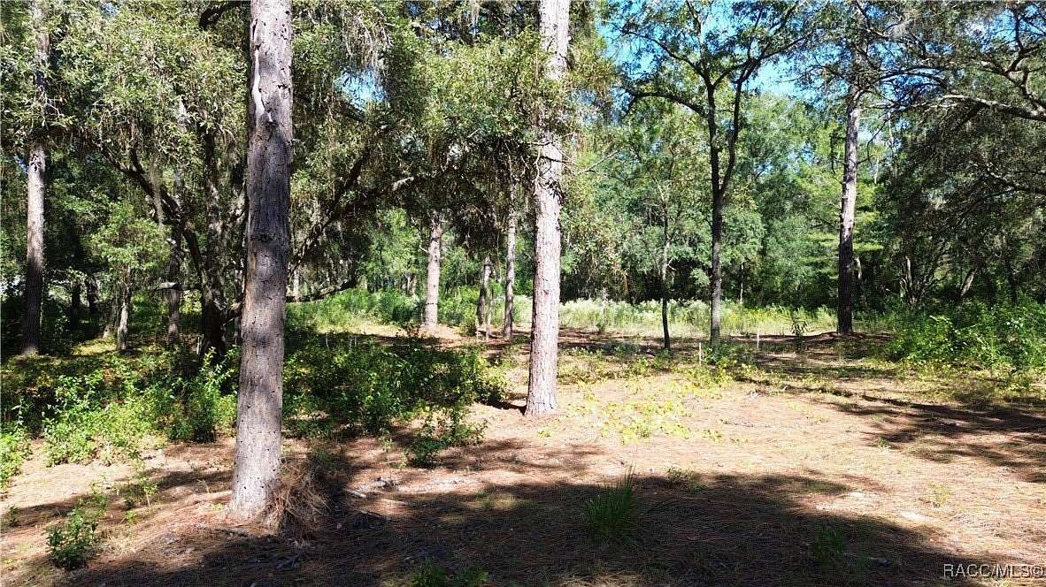 0.57 Acres of Residential Land for Sale in Dunnellon, Florida