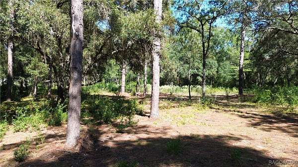0.57 Acres of Residential Land for Sale in Dunnellon, Florida