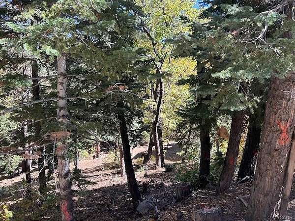 Residential Land for Sale in Big Bear Lake, California