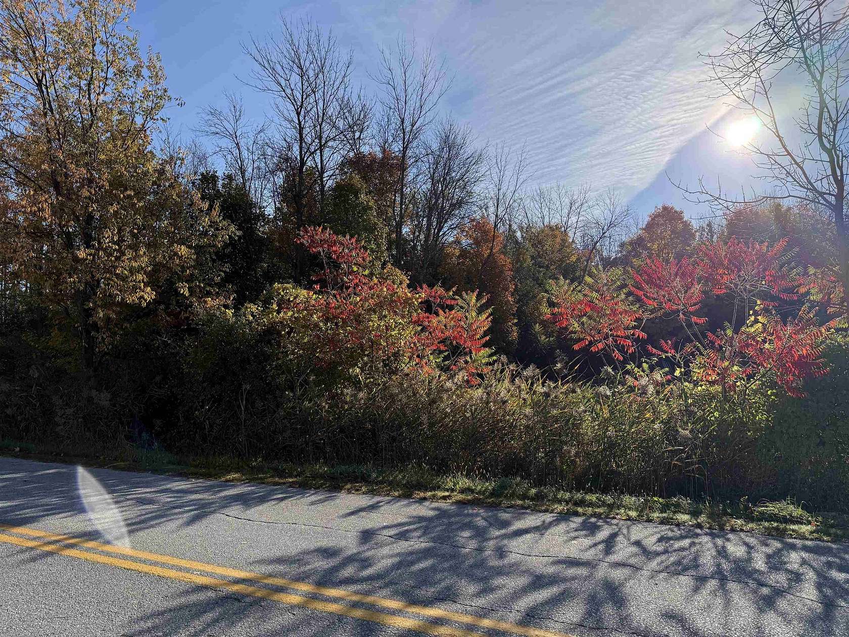 15.6 Acres of Land for Sale in Swanton, Vermont