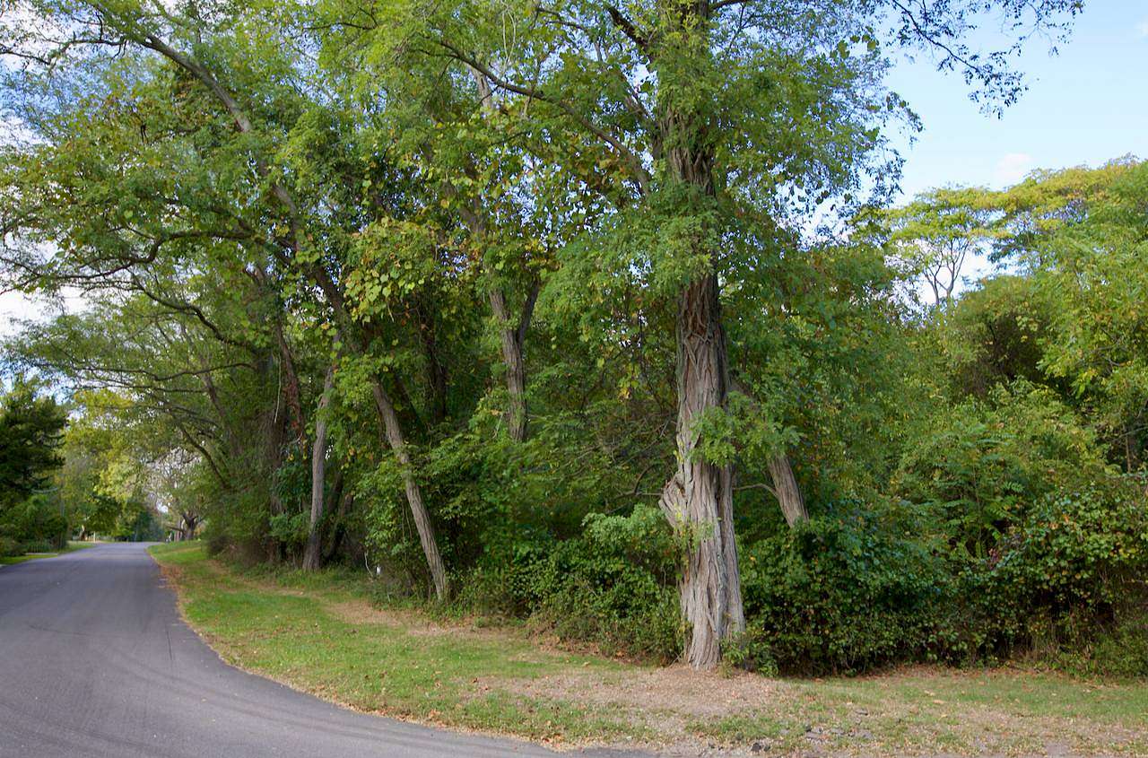 1 Acre of Residential Land for Sale in Shelter Island, New York