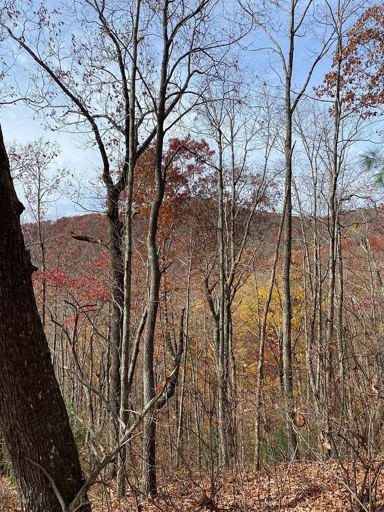 6.35 Acres of Residential Land for Sale in Ellijay, Georgia