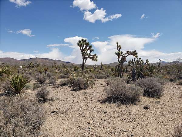 3 Acres of Residential Land for Sale in White Hills, Arizona