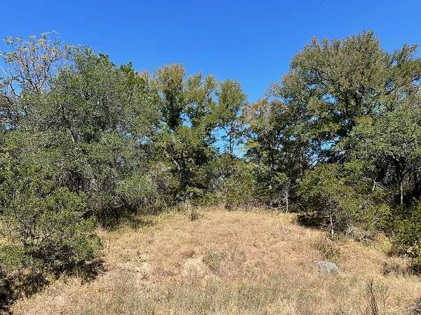 34.8 Acres of Agricultural Land for Sale in Blanco, Texas