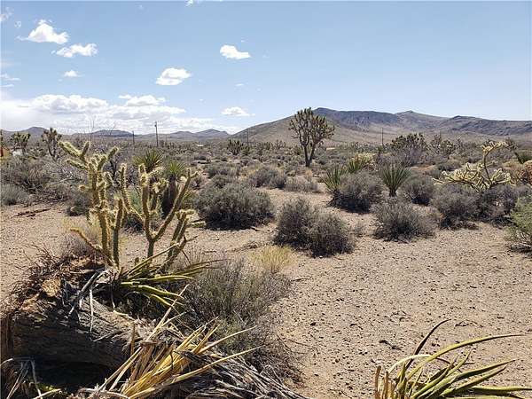 2 Acres of Residential Land for Sale in White Hills, Arizona