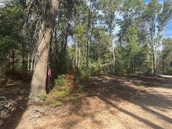 2.28 Acres of Land for Sale in Baldwin, Michigan